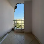 Zoja *